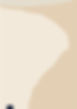 Abstract Beige Shapes